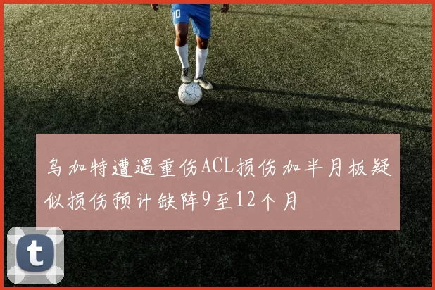 乌加特遭遇重伤ACL损伤加半月板疑似损伤预计缺阵9至12个月